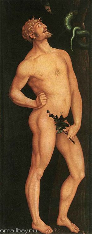 Pictures and Biography of Hans Baldung Green - Adam, 1524 Museum of Fine Arts, Budapest :: Hans Baldung