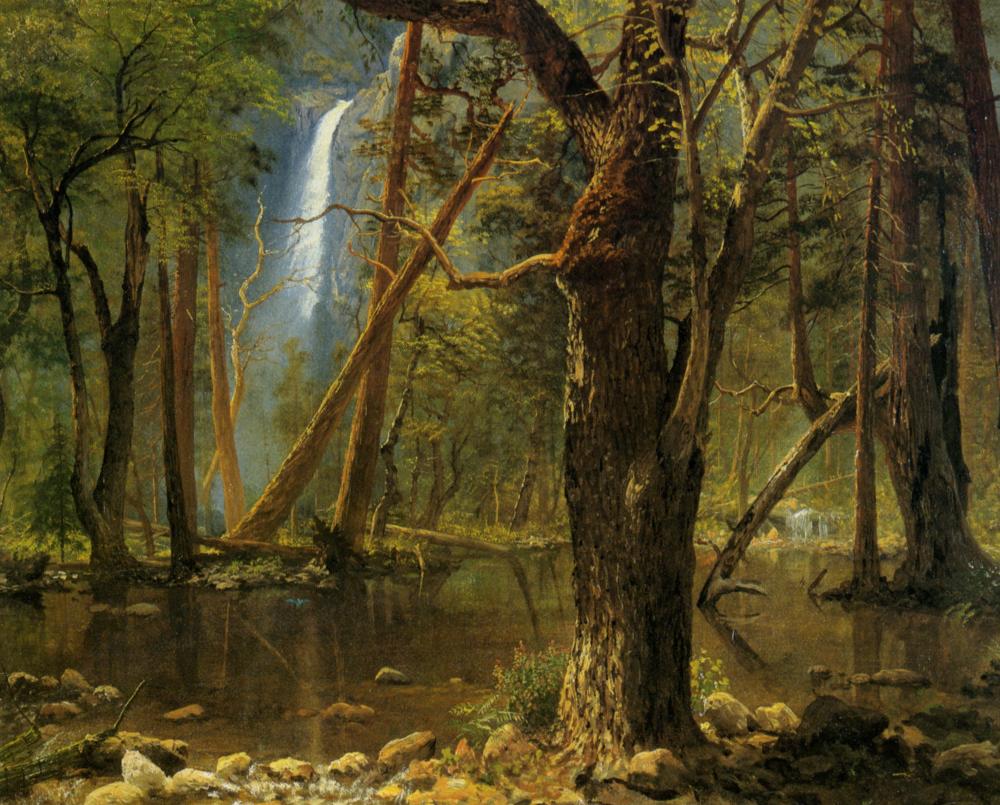 Forest landscapes in art and painting