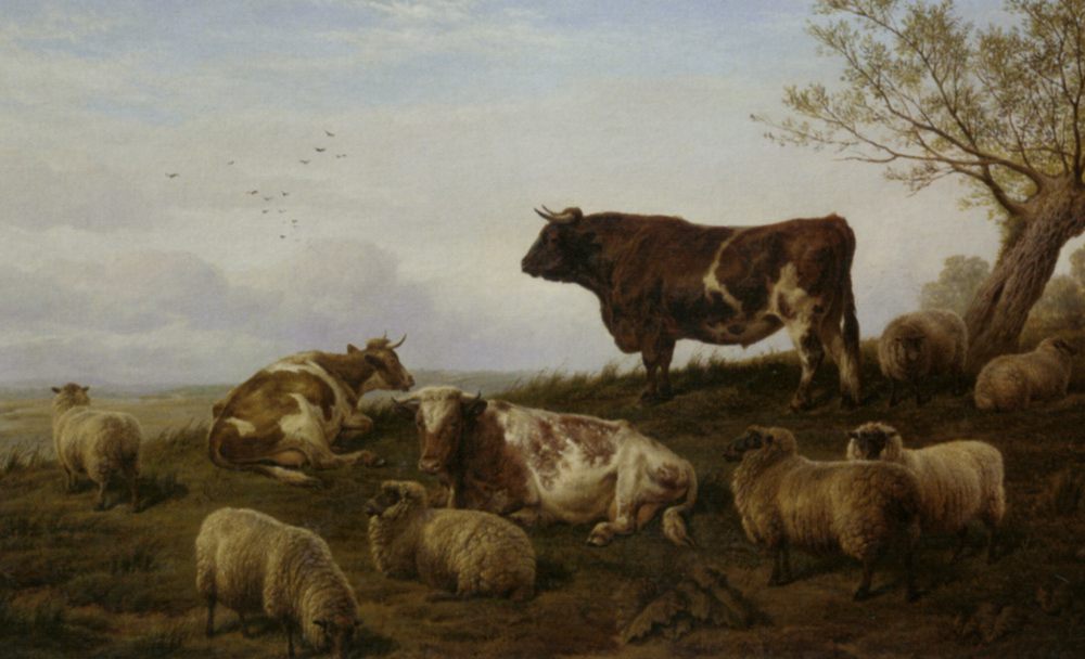 Cattle and Sheep Resting :: Charles Jones  - Landscapes with cows ôîòî