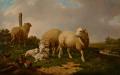 Animals - Sheep and Rooster :: Eugene Verboeckhoven