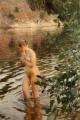 Nu in art and painting - Naked in the river :: Anders Zorn