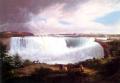 River landscapes - The Great Horseshoe Falls, Niagara :: Alvan Fisher