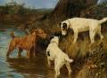 Hunting scenes - Three Terriers on the Scent :: Arthur Wardle