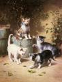 Cats - Kittens Playing with Beetles :: Carl Reichert