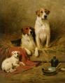 Animals - Foxhounds and a Terrier :: John Emms