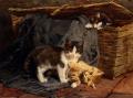 Cats -  The Playful Kittens :: Julius Adam