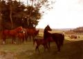 Horses in art - Horses In The Countryside :: Paul Tavernier