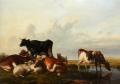Animals - Cattle and Sheep Probably in Canterbury Meadows :: Thomas Sidney Cooper