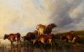 Animals - Cattle Wattering :: Thomas Sidney Cooper