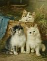 Cats - Little Friends :: Wilhelm Schwar