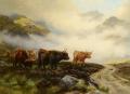 Mountain scenery - Highland Cattle in a Pass :: Wright Barker