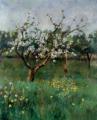 Summer landscapes and gardens - Apple Blossom :: Harold Harvey